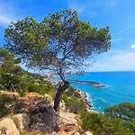 Royal Oropesa Lägenhet