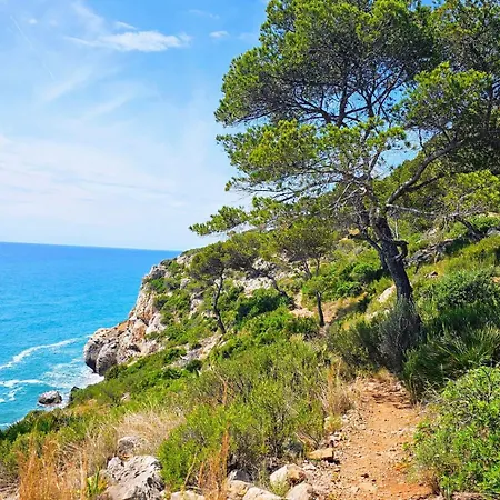 Apartament Royal Oropesa