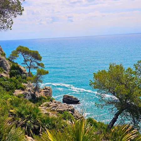 Apartament Royal Oropesa Oropesa del Mar