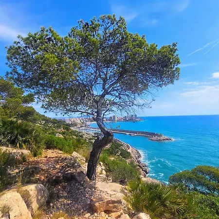 Royal Oropesa Lejlighed