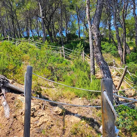 Royal Oropesa Oropesa del Mar
