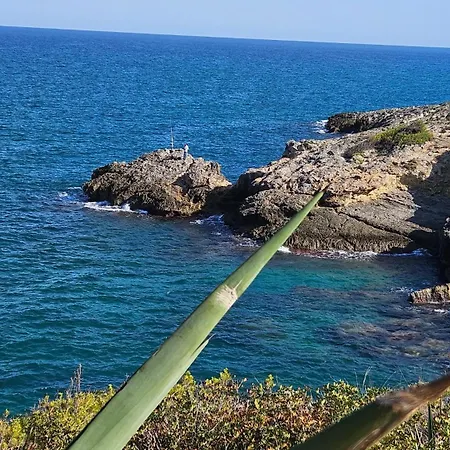 Apartman Royal Oropesa *